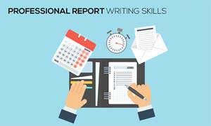 Professional Report