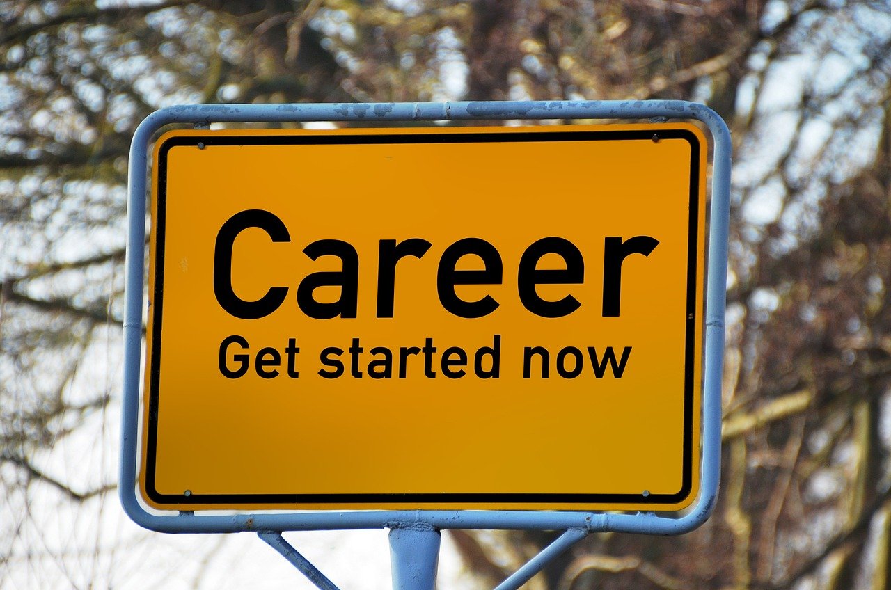 Career 