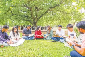 কারিগরি বা পেশাগত ক্যাডারে