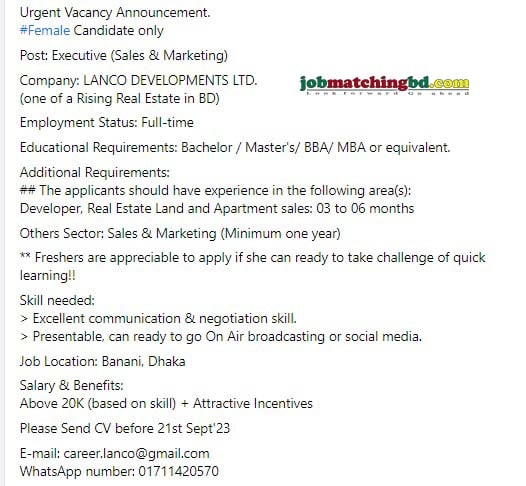 Sales and Marketing Executive