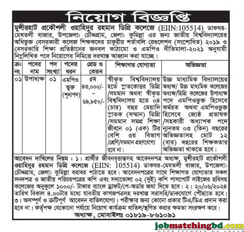 Vice Principal Job Circular 2024