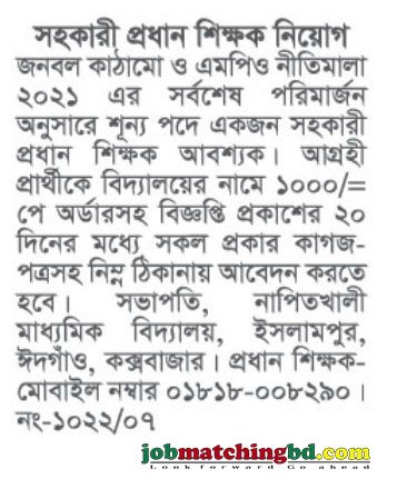 Education Job Circular 2024