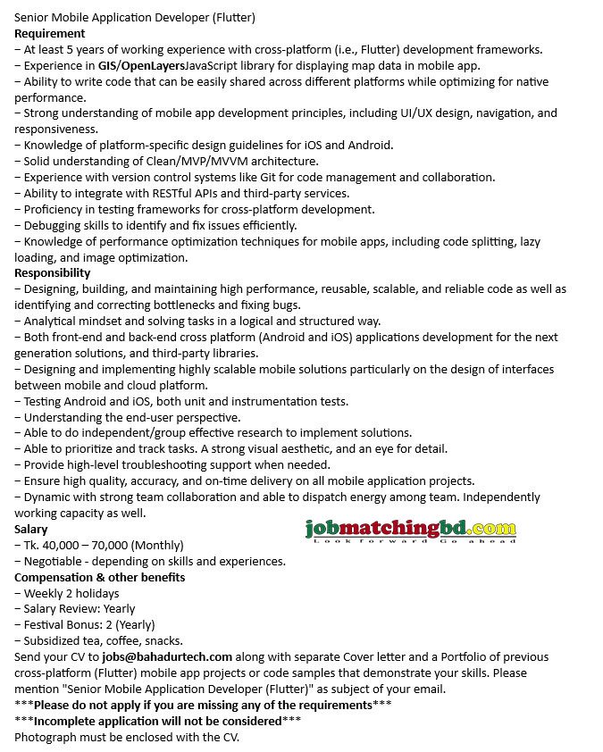 Flutter Developer Job Vacancy 2024