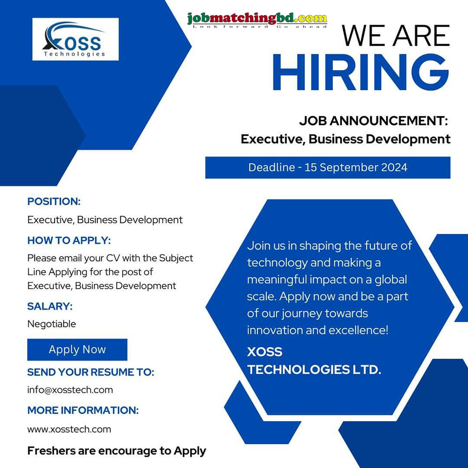 Business Development Executive