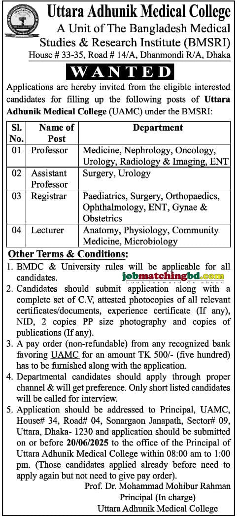 Lecturer Job