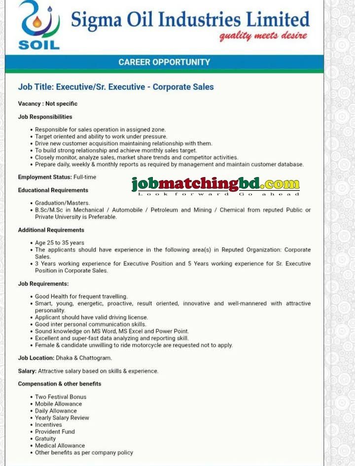Sales Executive Job