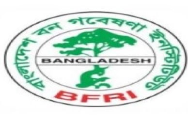 বন গবেষণা