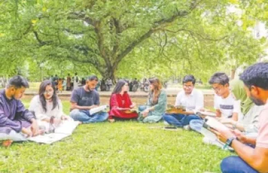 কারিগরি বা পেশাগত ক্যাডারে