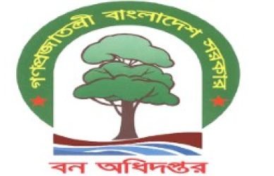 বন অধিদপ্তর